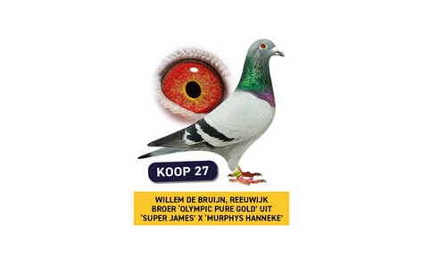 Olympiade Nieuws: eindveiling deel 1